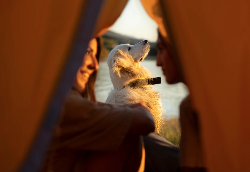 tipi tent